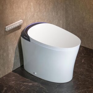 Image 1 of CANEST smart toilet review