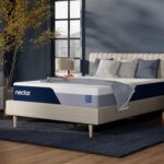 Image 1 of Nectar Classic 12 review
